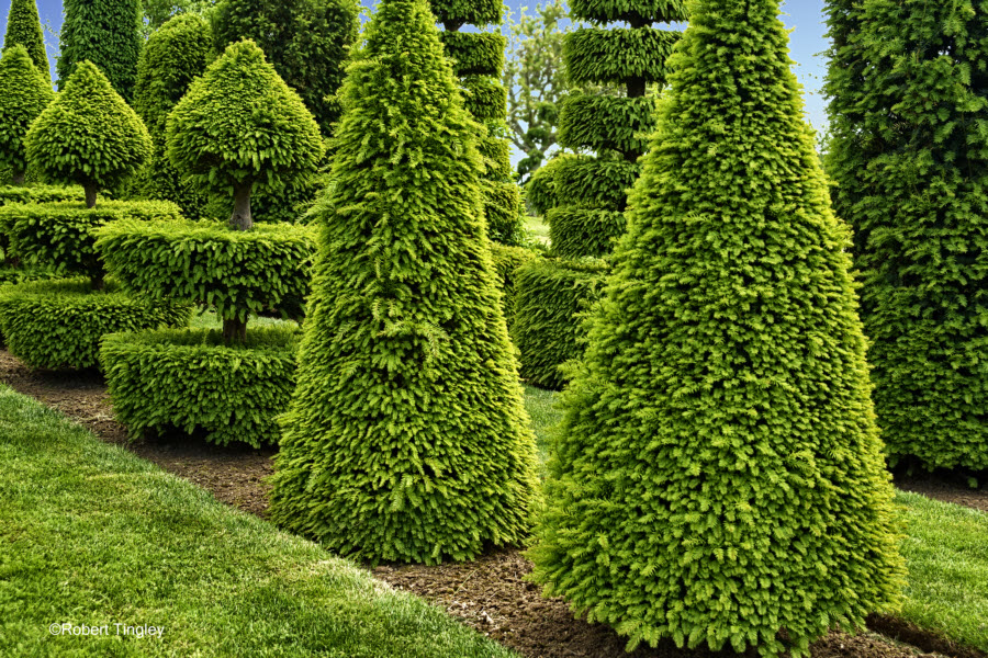 Eyrignac Gardens